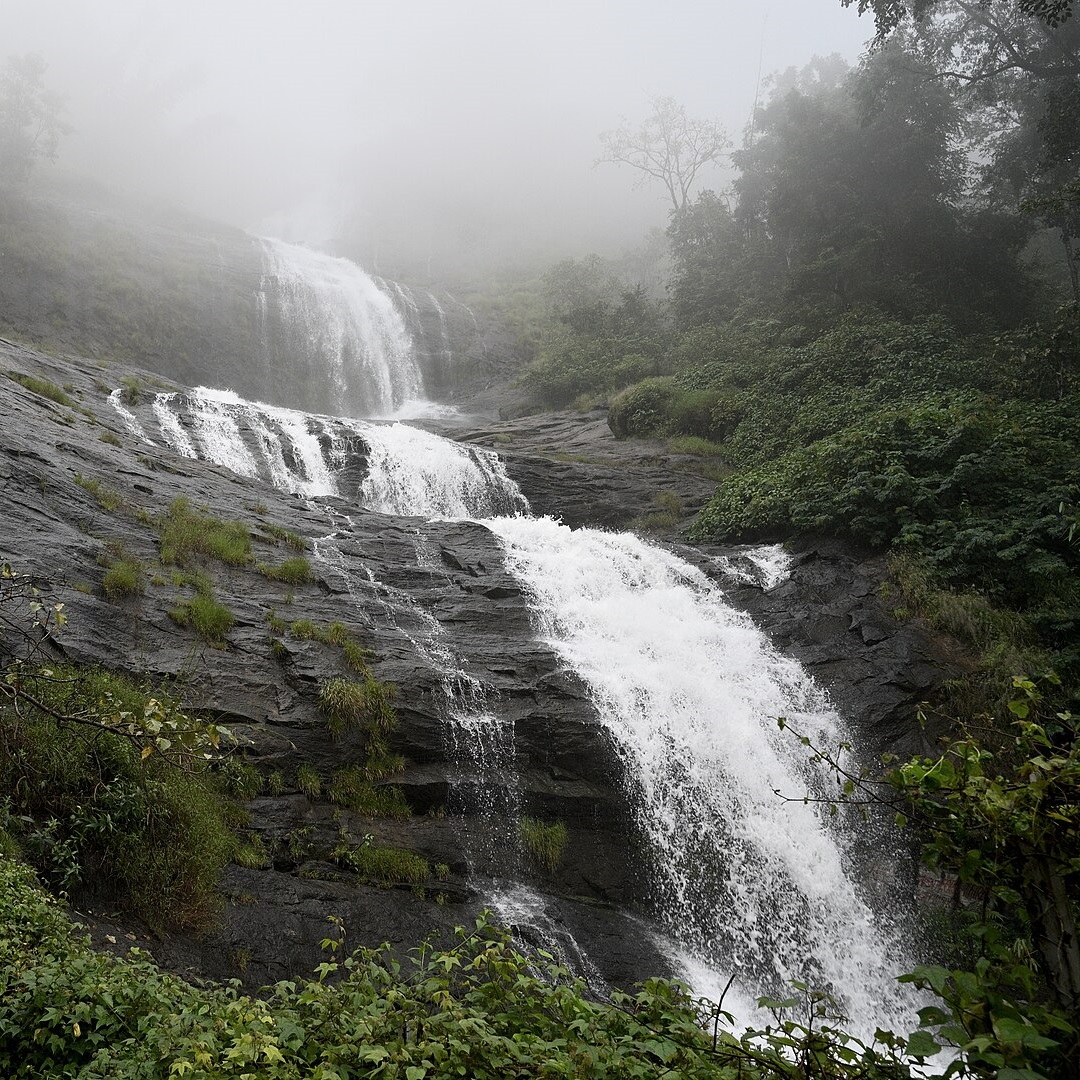 Kerala Cultural Odyssey 5